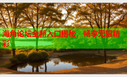 海角论坛全新入口揭秘，畅享无限精彩