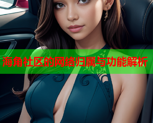 海角社区的网络归属与功能解析  第1张