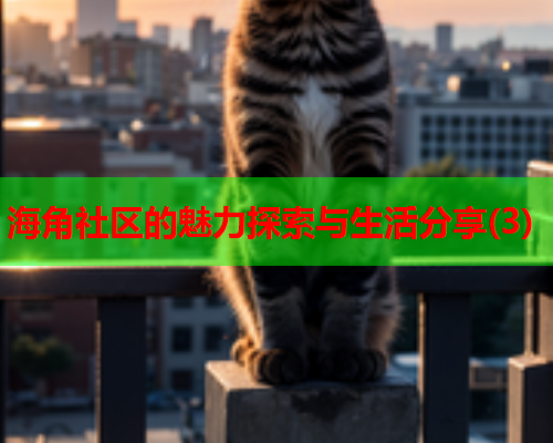 海角社区的魅力探索与生活分享(3)  第1张